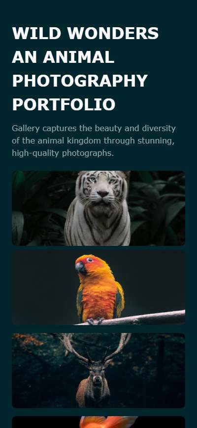 Template Card4701