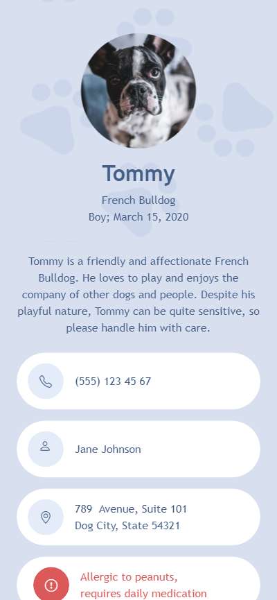 Template Card62437