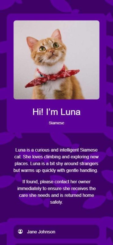Template Card62881