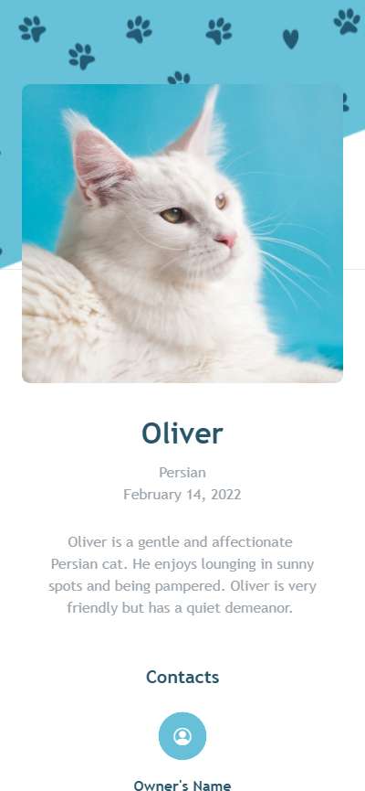 Template Card62949