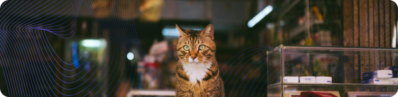 دليل شامل حول كيفية فتح متجر للحيوانات الأليفة: خطوات ونصائح فريدة