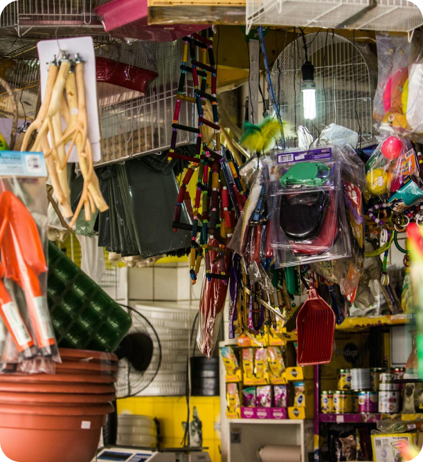 تحديد مفهوم فريد وتحديد موقع السوق لافتتاح متجر للحيوانات الأليفة