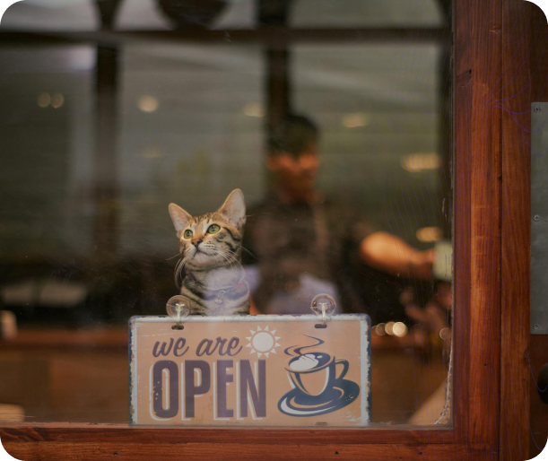 كم تبلغ تكلفة فتح متجر للحيوانات الأليفة؟