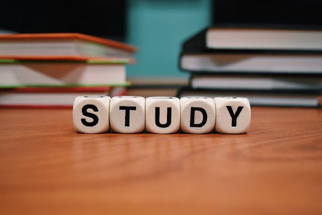 Take Care of Your Brain