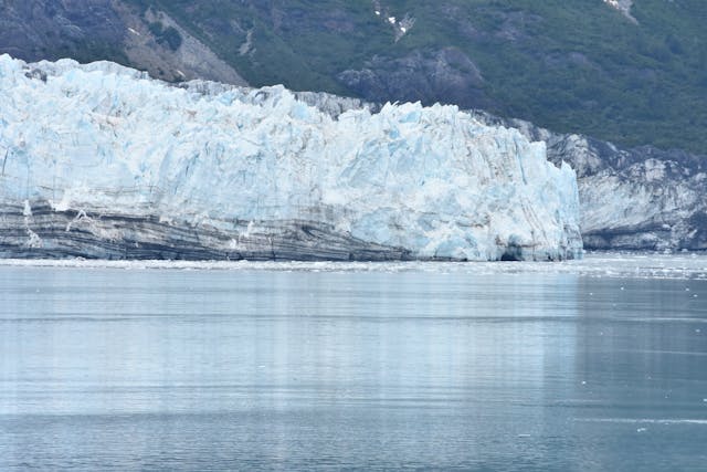 Steps to Mitigate Ecological Impact