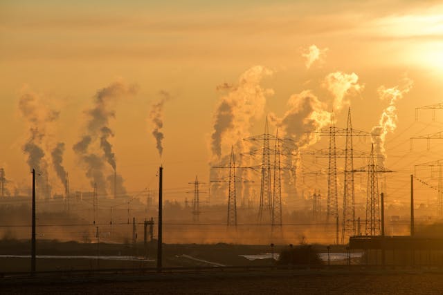 How Climate Change Impacts Ecosystems