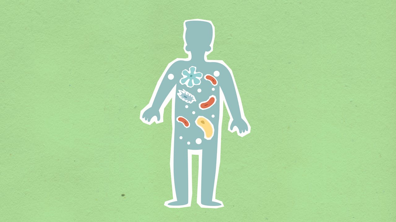 What Is the Microbiome?