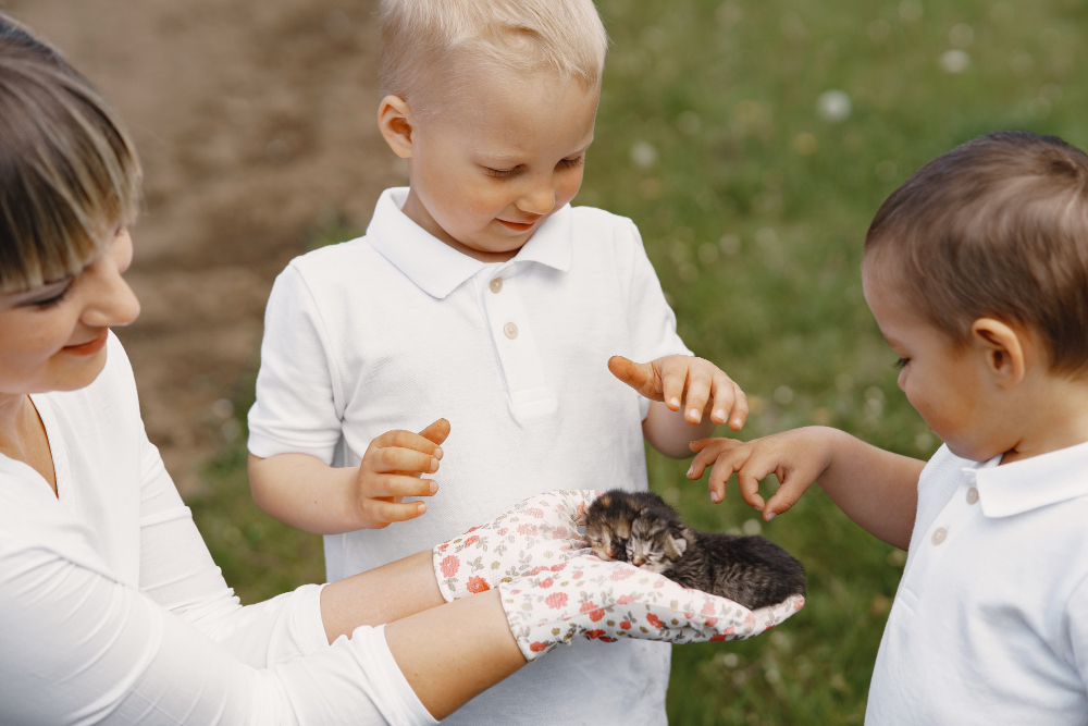 Why Animal Protection Matters for Children