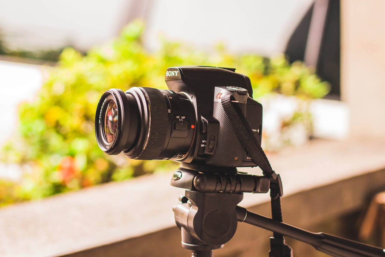 Smartphone Photography vs Professional Cameras