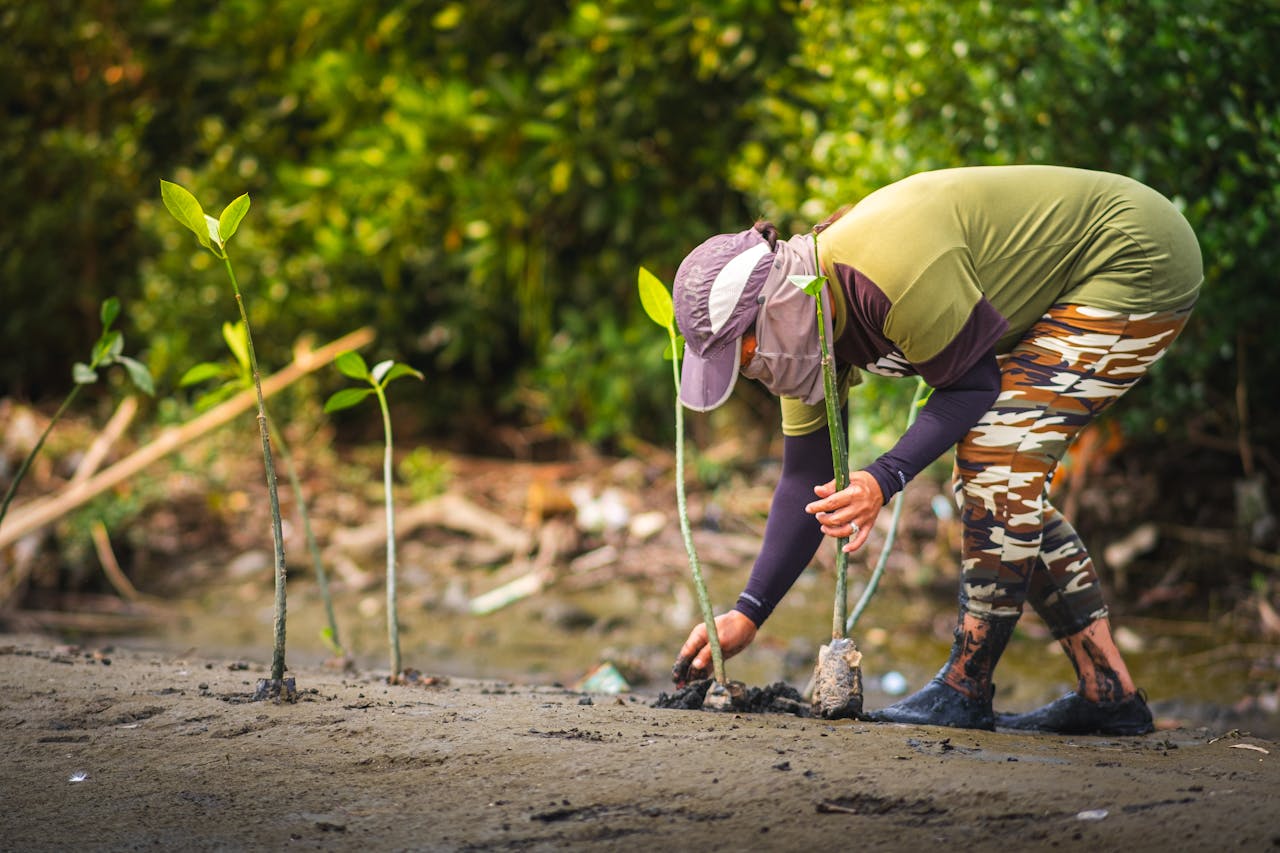 FAQ: Protecting Biodiversity in a Changing World ​​​​​