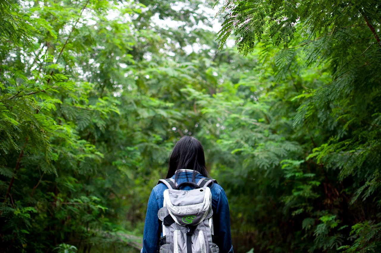 Sustainable Travel and Eco-Friendly Tourism