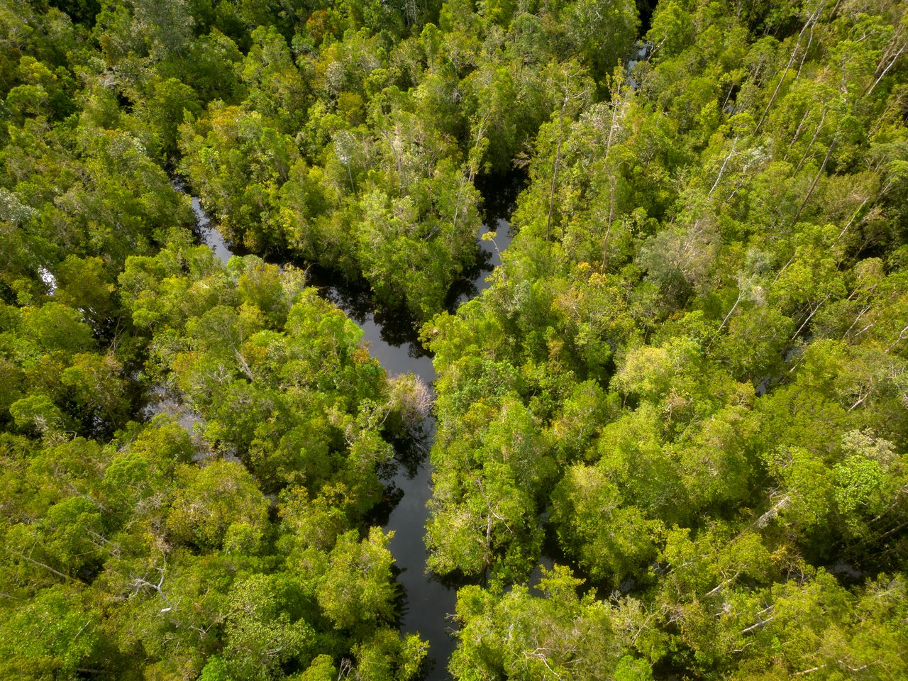 Ecosystems