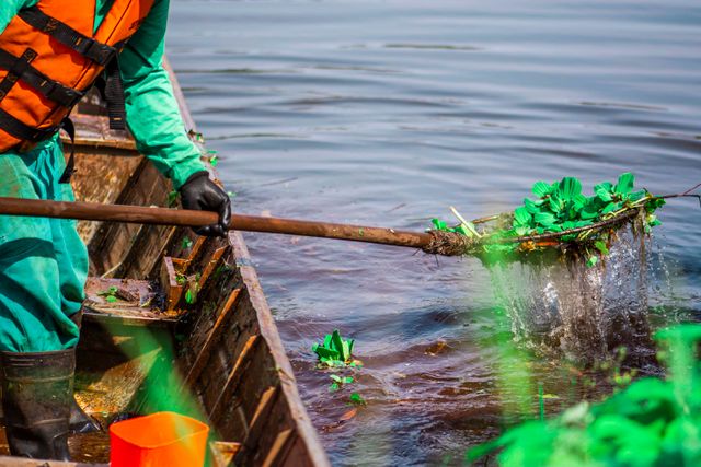 Ecological Restoration Projects
