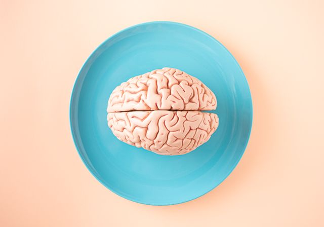 The Gut-Brain Connection: How Your Gut Health Affects Mental Health