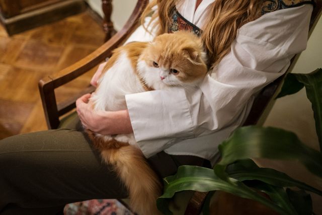 The Power of Pet Therapy: How Animals Can Improve Human Health