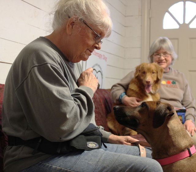 Pet Therapy
