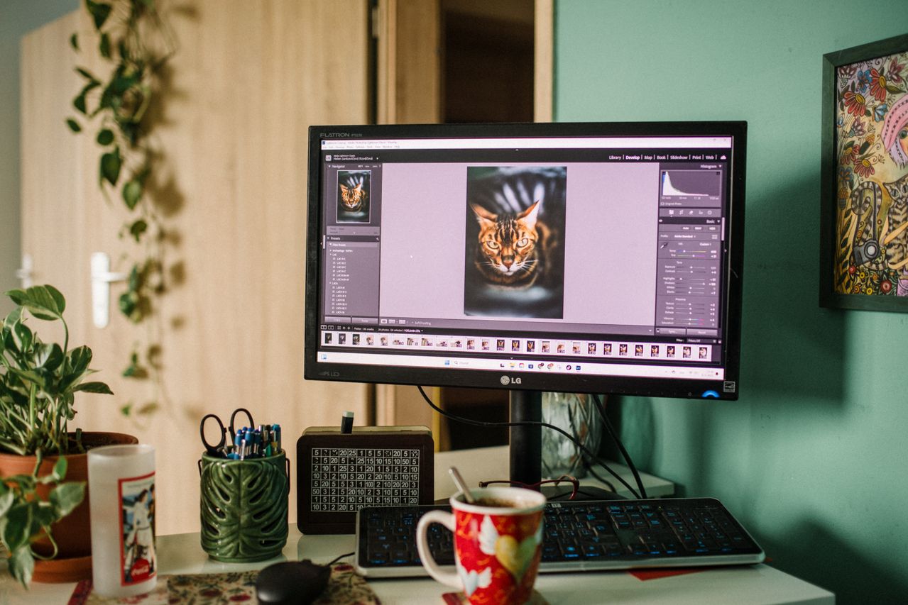 Photo Editing Techniques That Elevate Your Work