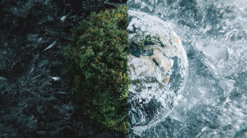 The Impact of Climate Change on Ecosystems