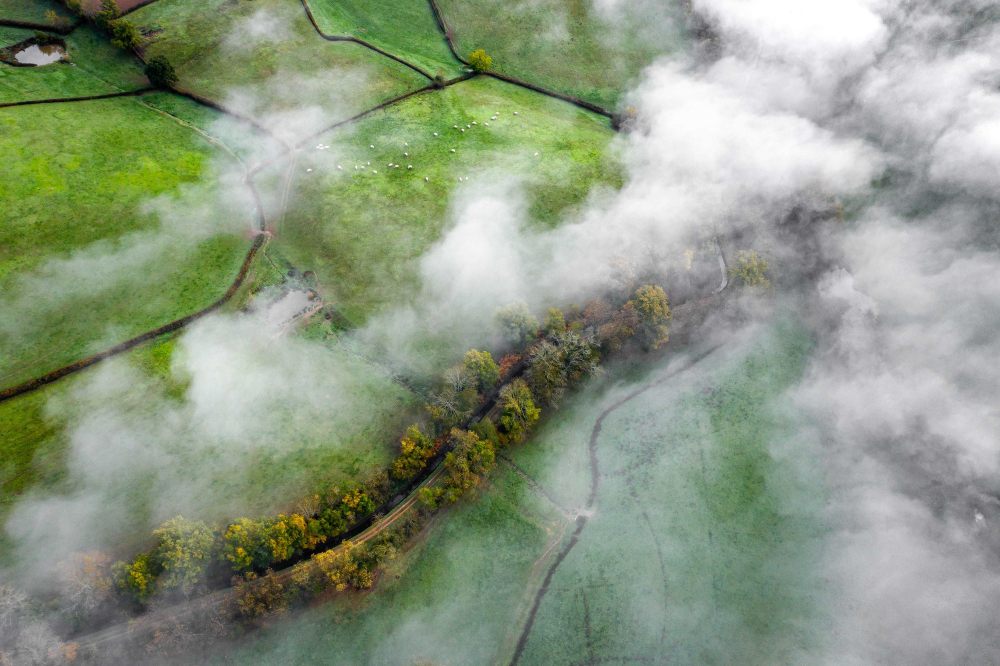 Climate Change and Ecosystems