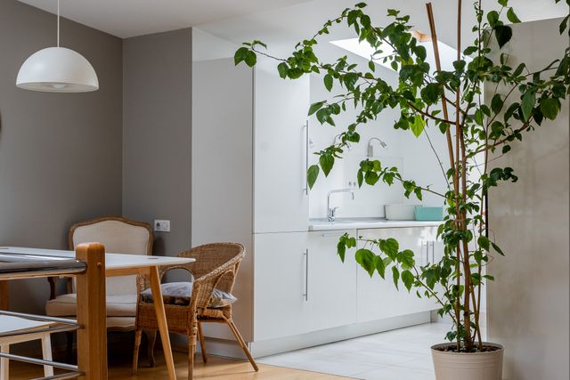 Interior Design Ideas