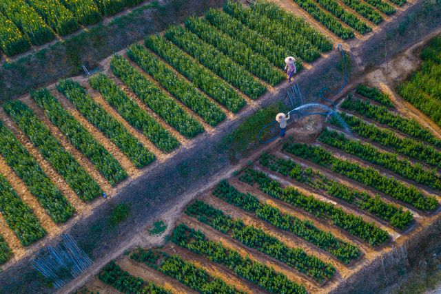 Sustainable Agriculture and Food Systems
