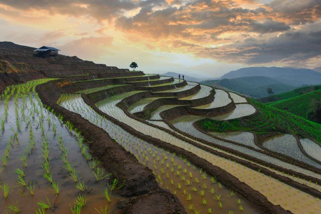 Sustainable Agriculture