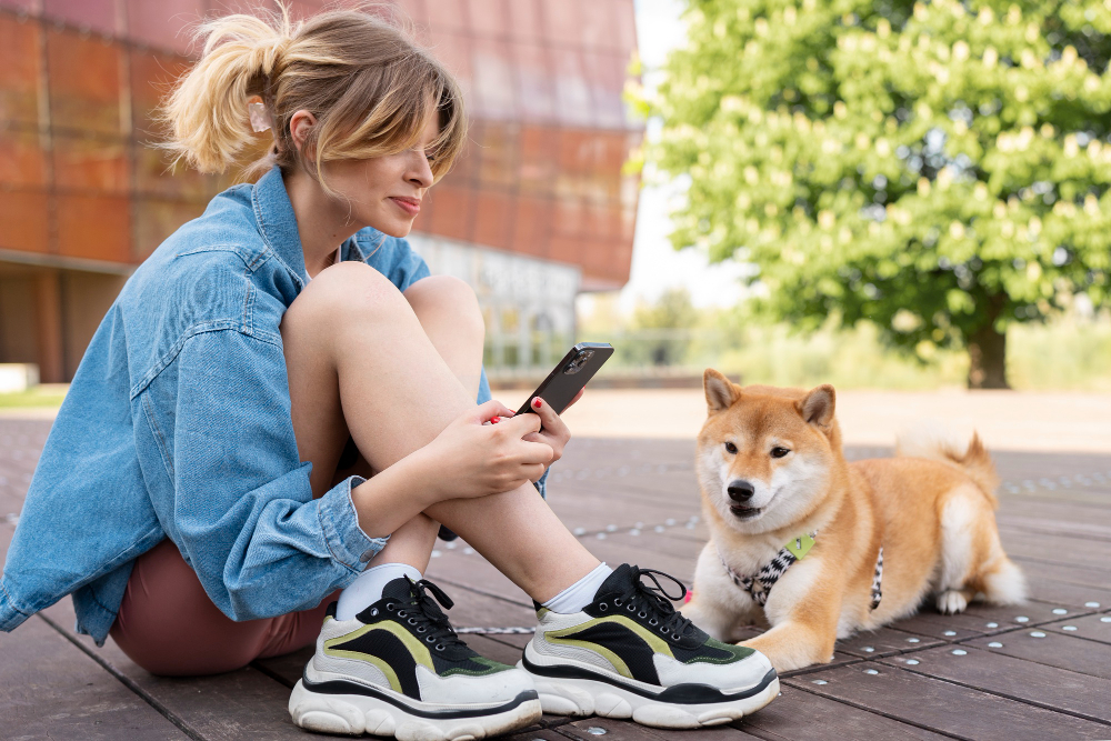 A uma digitalização de distância: etiquetas digitais para animais de estimação para pais modernos